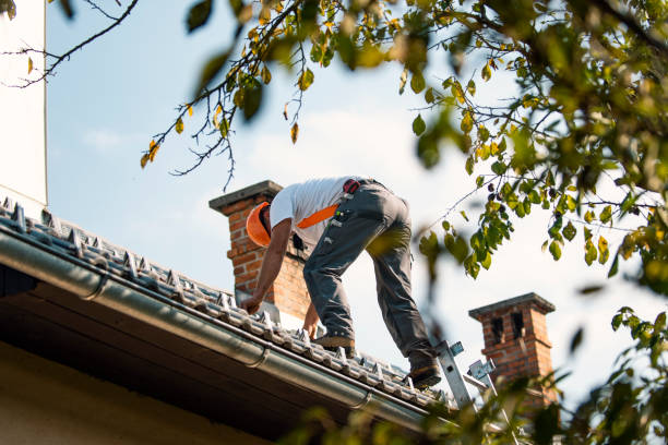 Roof Insulation in The Hills, TX