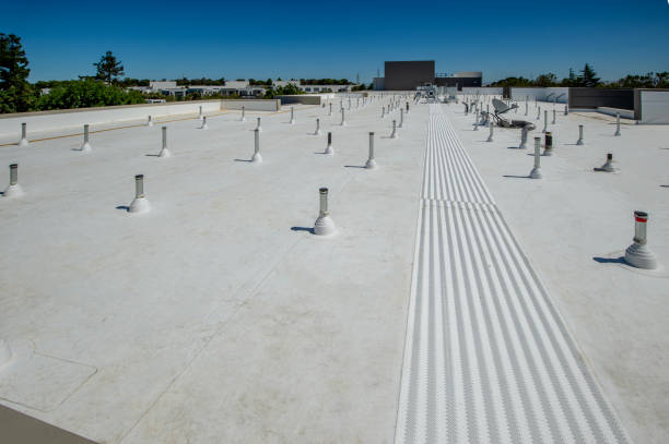Best Solar Panel Roofing Installation  in The Hills, TX
